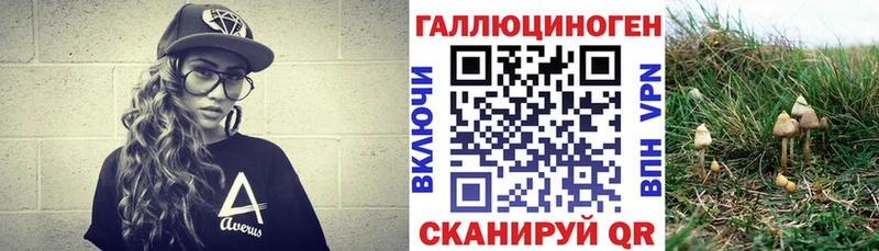 Псилоцибиновые грибы MAGIC MUSHROOMS  Купить где  Шимановск 